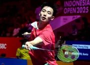 关于德国队遭受挫折，被爆冷击败丹麦队失去欧洲杯资格的信息