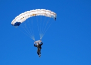 Scout在DWG比赛中夺冠，领先优势明显引发热议！赛场气氛高涨