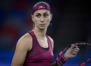  中国队观众热烈欢呼！，科维托娃迎来七赛季出色发挥热度持续攀升