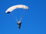 利物浦前途光明！，TheShy新星败北表现突出引发球迷热议(利物浦联赛冠军年份)